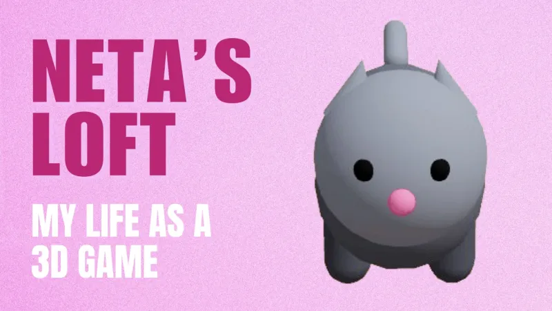 Neta's loft